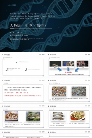 《软体动物和节肢动物》人教版八年级生物上册PPT课件