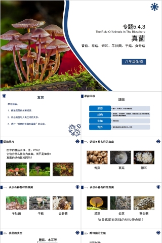 《真菌》人教版八年级生物上册PPT课件