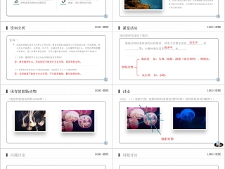 《腔肠动物和扁形动物》人教版八年级生物上册PPT课件