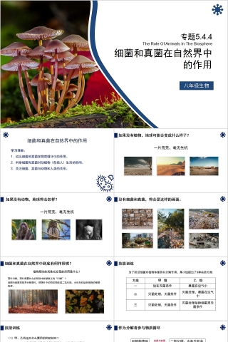 《细菌和真菌在自然界中的作用》人教版八年级生物上册PPT课件