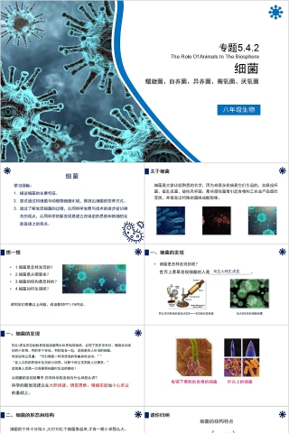 《细菌》人教版八年级生物上册PPT课件