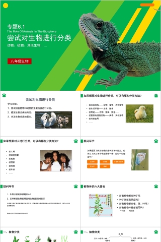 《尝试对生物进行分类》人教版八年级生物上册PPT课件