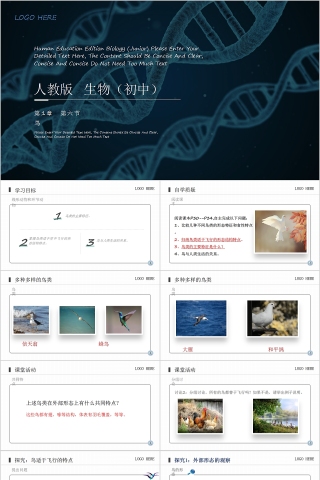 《鸟》人教版八年级生物上册PPT课件下载