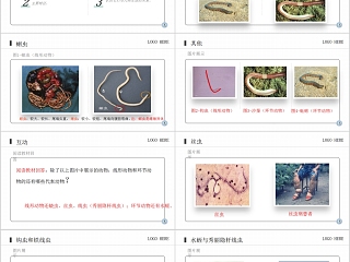 《线形动物和环节动物》人教版八年级生物上册PPT课件