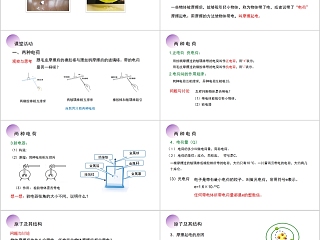 《两种电荷》人教版九年级物理PPT课件