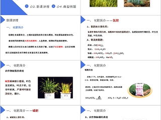 《化学肥料》人教版九年级化学PPT课件