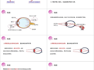 《眼睛和眼镜》人教版八年级物理PPT课件