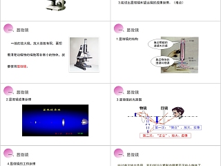 《显微镜和望远镜》人教版八年级物理PPT课件