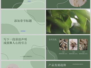 现代公司橄榄绿深绿色不规则几何形状产品介绍ppt