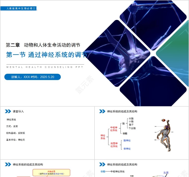 《通过神经系统的调节》人教版高中生物上册PPT课件第1张