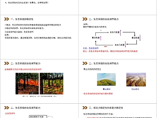 《生态系统的稳定性》人教版高中生物上册PPT课件