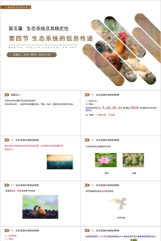 《生态系统的信息传递》人教版高中生物上册PPT课件