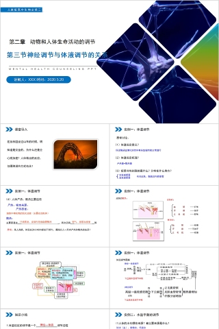 《神经调节与体液调节的关系》人教版高中生物上册PPT课件