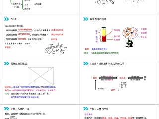 《细胞生活的环境》人教版高中生物上册PPT课件