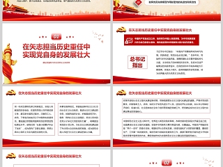 党政风建设坚强有力的马克思主义执政党教育党课ppt