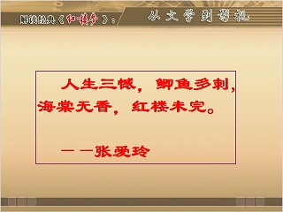 解读经典《红楼梦》从文学到影视PPT模板