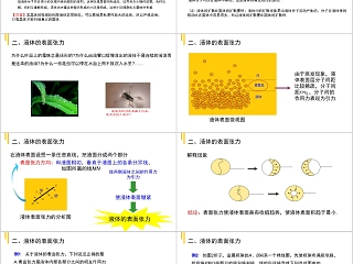 《固体、液体和物态变化液体 》人教版高中物理选修3-3PPT课件