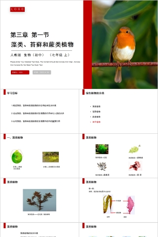 《藻类苔藓和蕨类植物》人教版七年级生物PPT课件