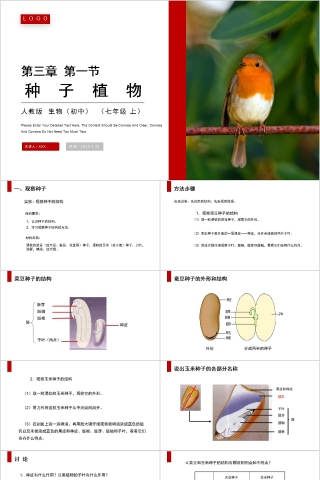 《种子植物 》人教版七年级生物PPT课件