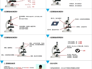 《练习使用显微镜》人教版七年级生物PPT课件