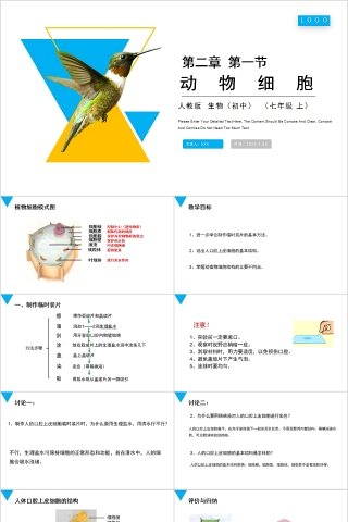 《动物细胞》人教版七年级生物PPT课件