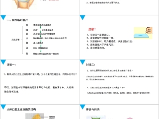 《动物细胞》人教版七年级生物PPT课件