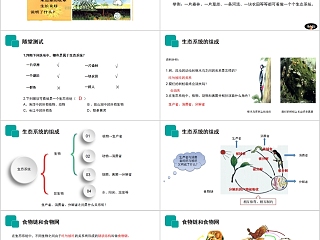 《生物与环境组成生态系统》人教版七年级生物PPT课件