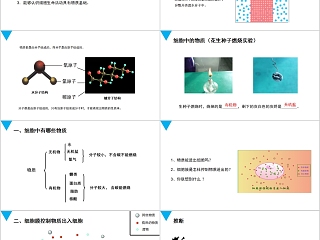 《细胞的生活》人教版七年级生物PPT课件