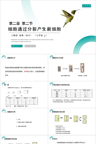 《细胞通过分裂产生新细胞》人教版七年级生物PPT课件
