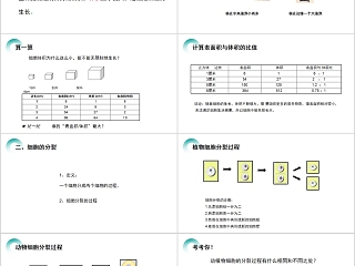 《细胞通过分裂产生新细胞》人教版七年级生物PPT课件