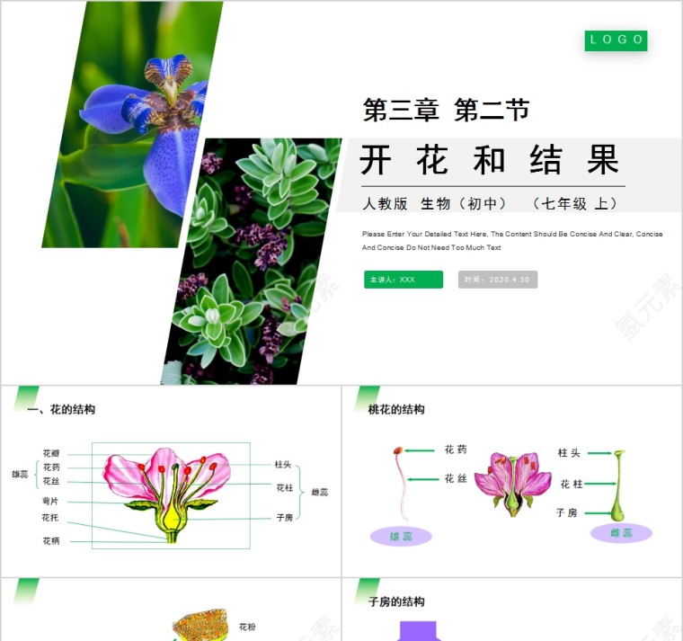 《开花和结果》人教版七年级生物PPT课件第1张