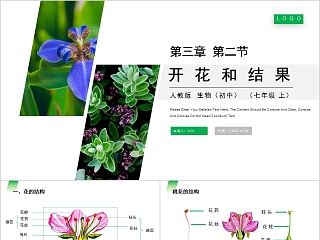 《开花和结果》人教版七年级生物PPT课件