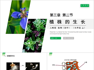 《植株的生长》人教版七年级生物PPT课件