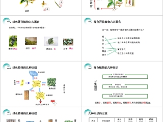 《植物体的结构层次 》人教版七年级生物PPT课件