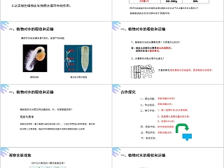 《绿色植物与生物圈的水循环》人教版七年级生物PPT课件