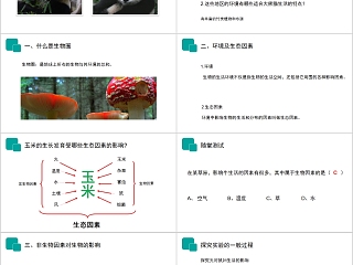 《生物与环境的关系》人教版七年级生物PPT课件