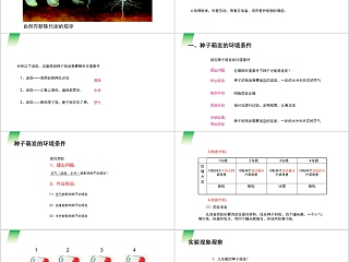 《种子的萌发 》人教版七年级生物PPT课件