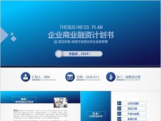 简洁实用企业商业融资计划书PPT