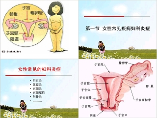 简约清新女性生理与妇科疾病PPT模板