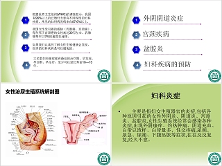 妇科常见疾病的防治知识PPT模板