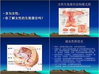 简约商务妇科常见病知识讲座PPT