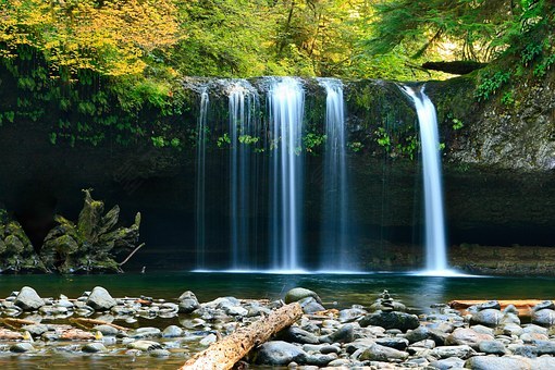 大瀑布,岩,树,森林,伍兹,自然,景观,级联,溪,绿色,流动,风景,景