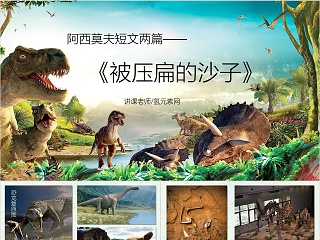 八年级下册语文被压扁的沙子ppt
